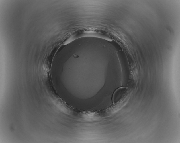 X0000113140235200909041215