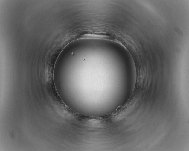 X0000113140236200909041215