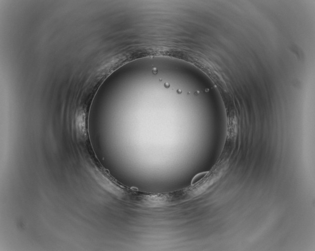 X0000113140238200909041215