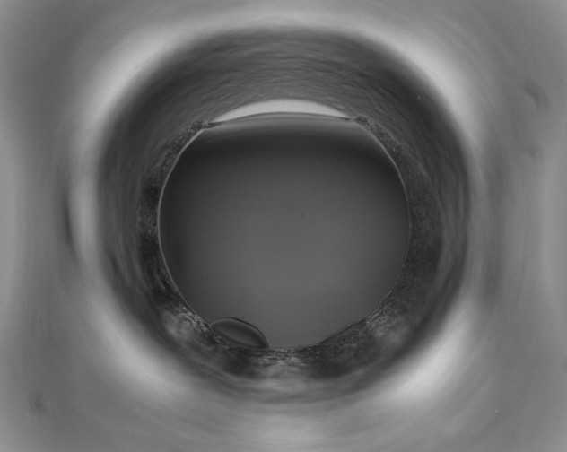 X0000113140239200909041215