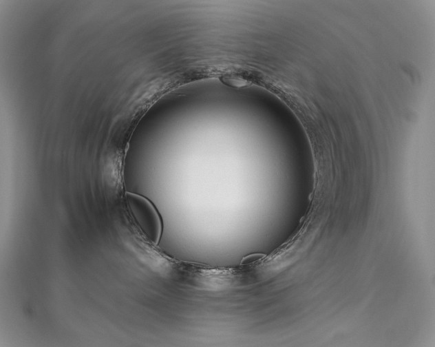 X0000113140240200909041215