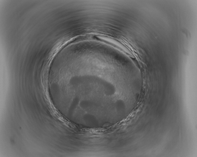 X0000113140241200909041214