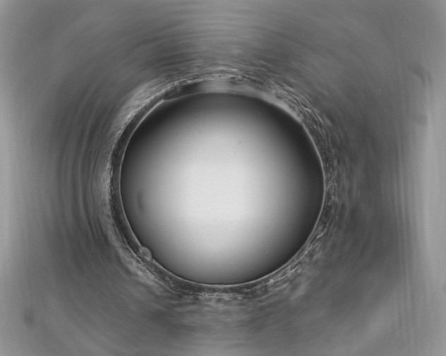 X0000113140242200909041214