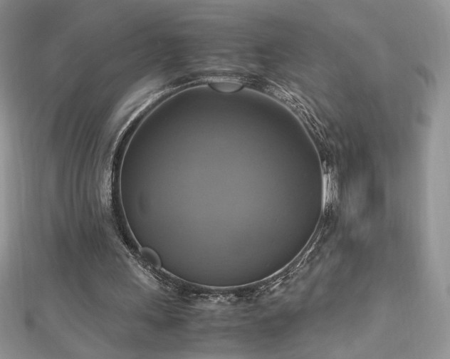 X0000113140243200909041214