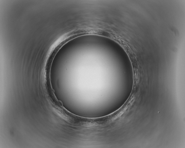 X0000113140246200909041214