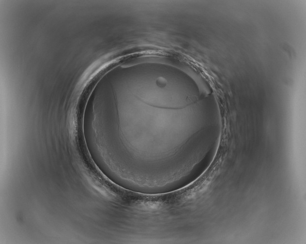 X0000113140247200909041214