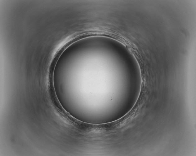 X0000113140248200909041214