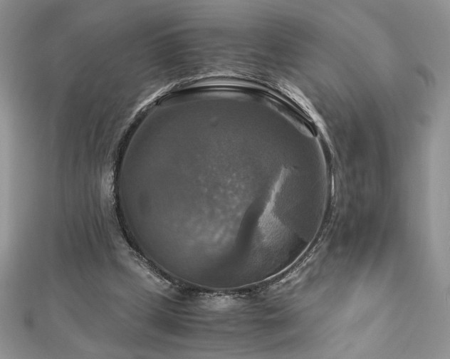 X0000113140249200909041214