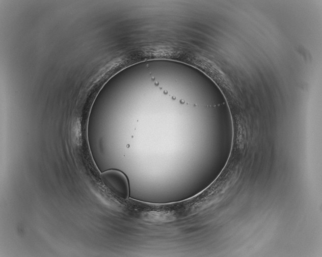 X0000113140251200909041214