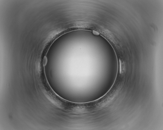 X0000113140252200909041214