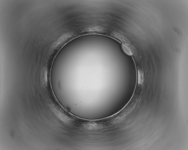 X0000113140253200909041214