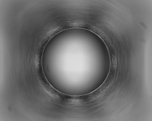 X0000113140255200909041214