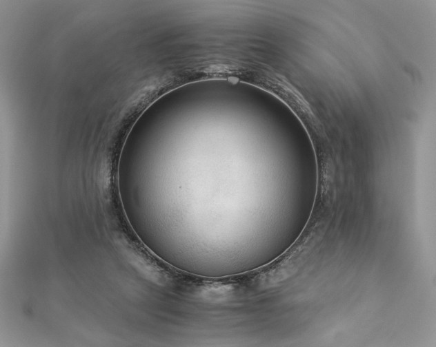 X0000113140257200909041214