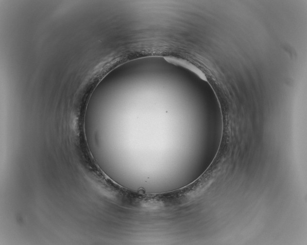 X0000113140258200909041214