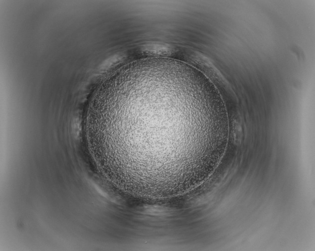 X0000113140259200909041214