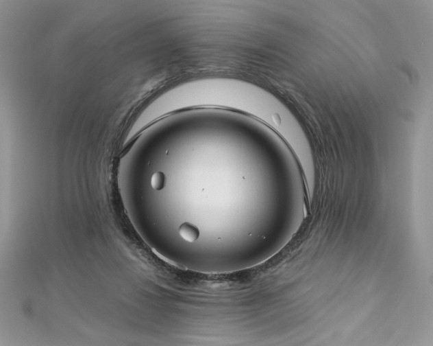 X0000113140260200909041214