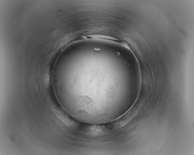 X0000113140261200909041214