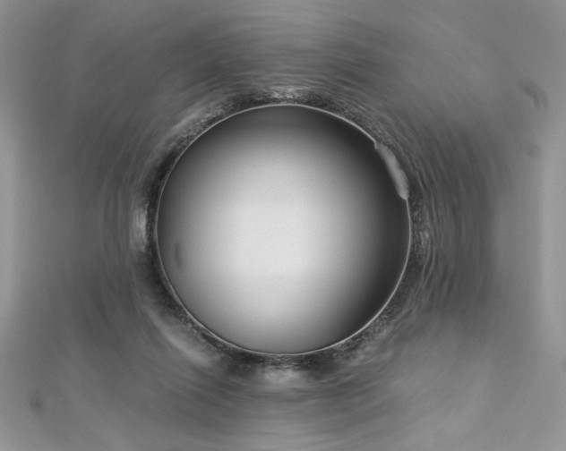 X0000113140262200909041214