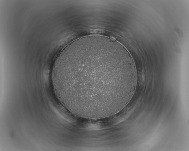 X0000113140263200909041214