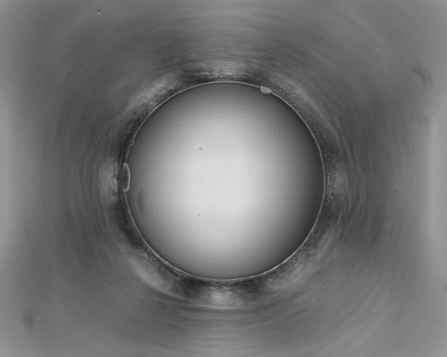 X0000113140264200909041214