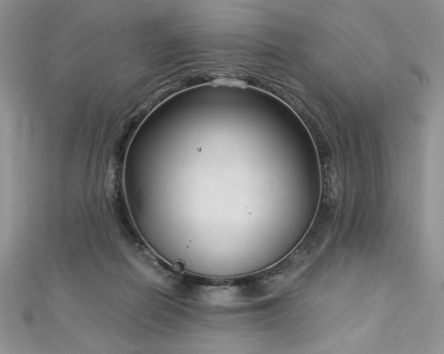 X0000113140266200909041214