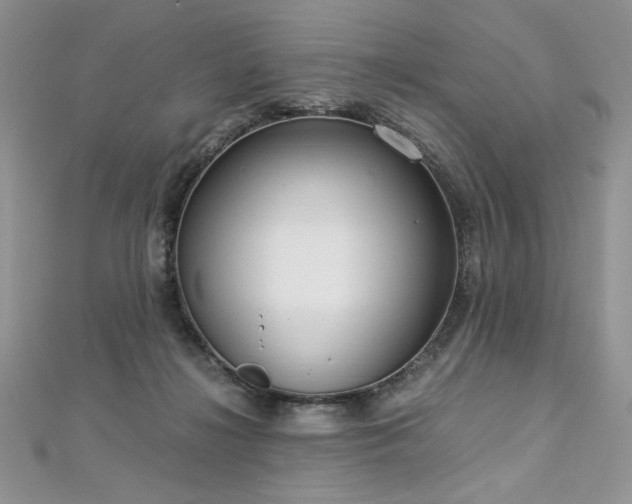 X0000113140268200909041214