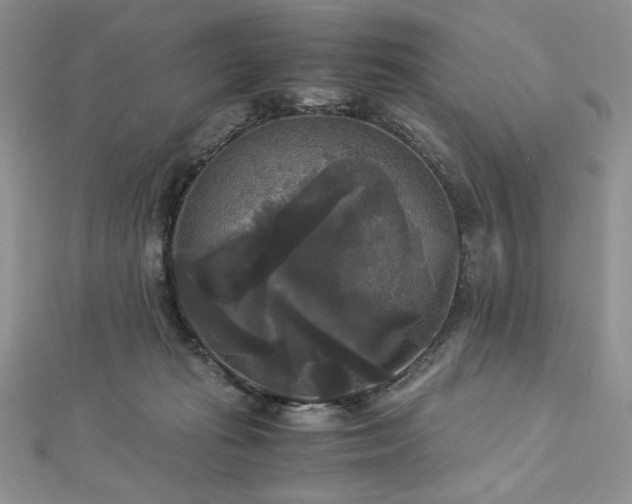 X0000113140269200909041214