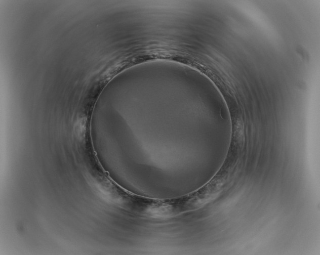 X0000113140271200909041214