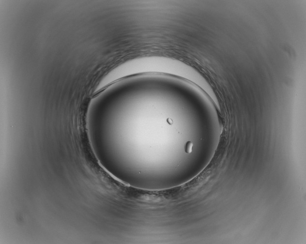 X0000113140272200909041214