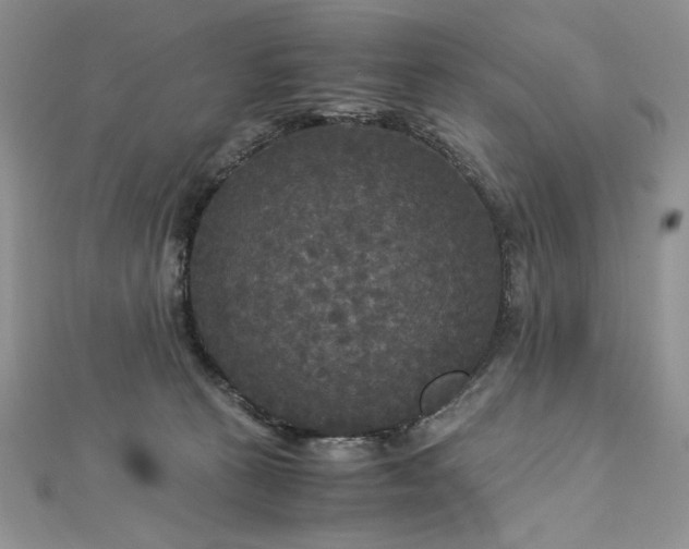 X0000113140273200909041215