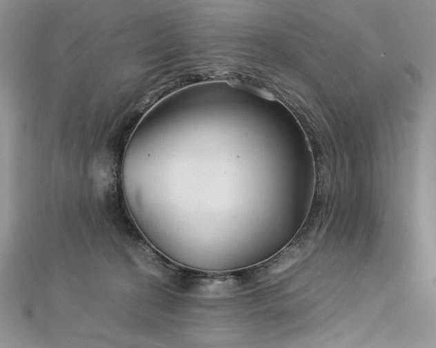 X0000113140274200909041215