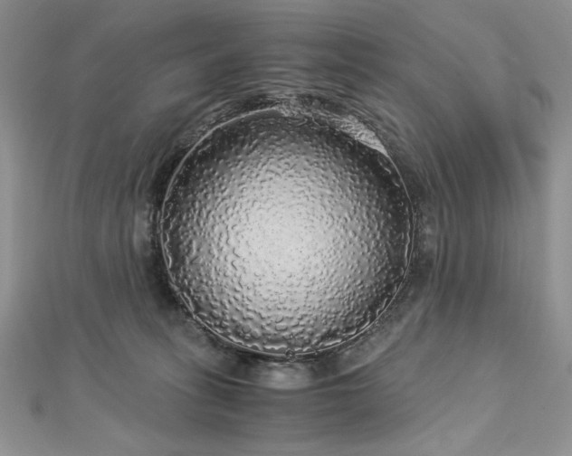 X0000113140275200909041215