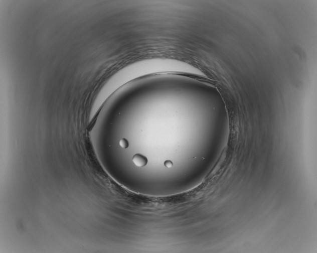 X0000113140276200909041215