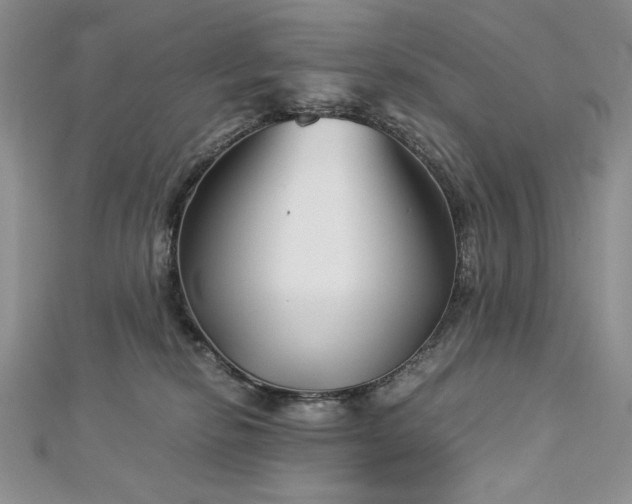 X0000113140278200909041215