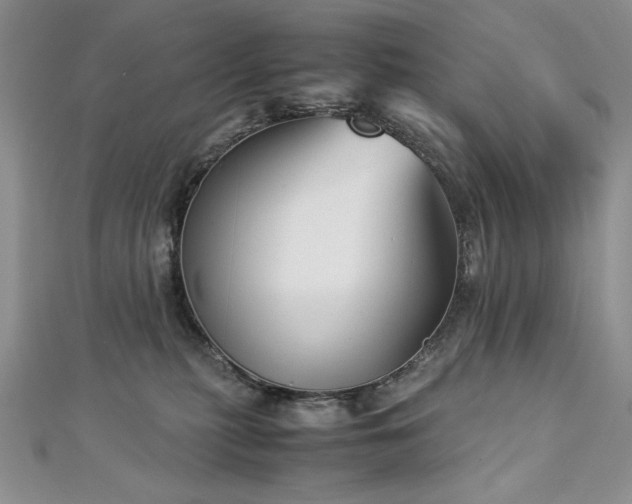 X0000113140279200909041215