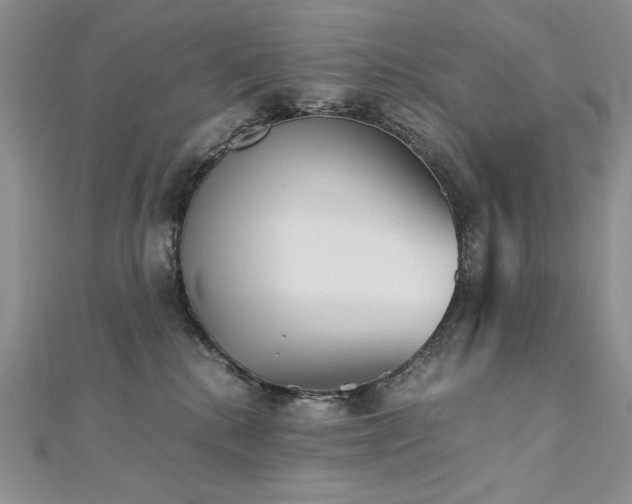 X0000113140280200909041215