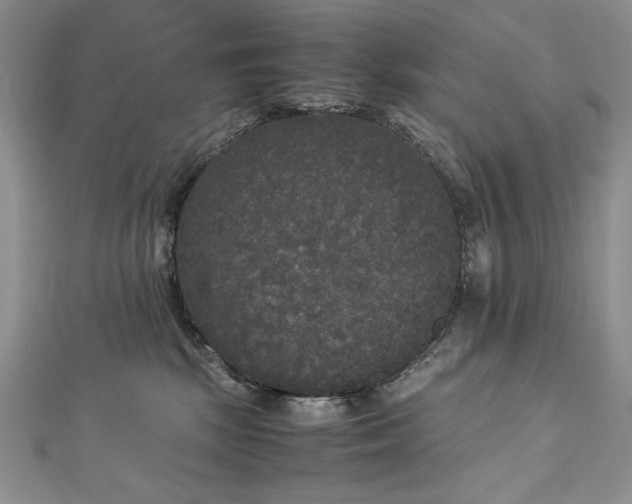 X0000113140281200909041215