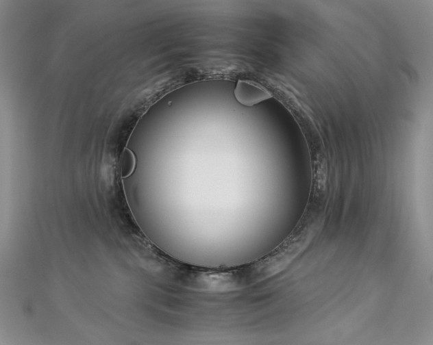 X0000113140283200909041215