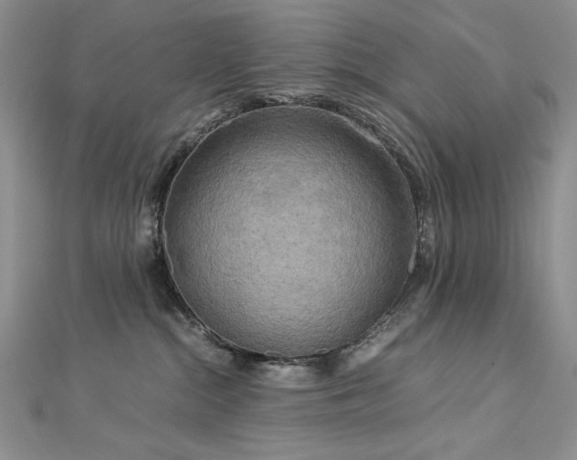 X0000113140284200909041215