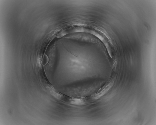 X0000113140285200909041215