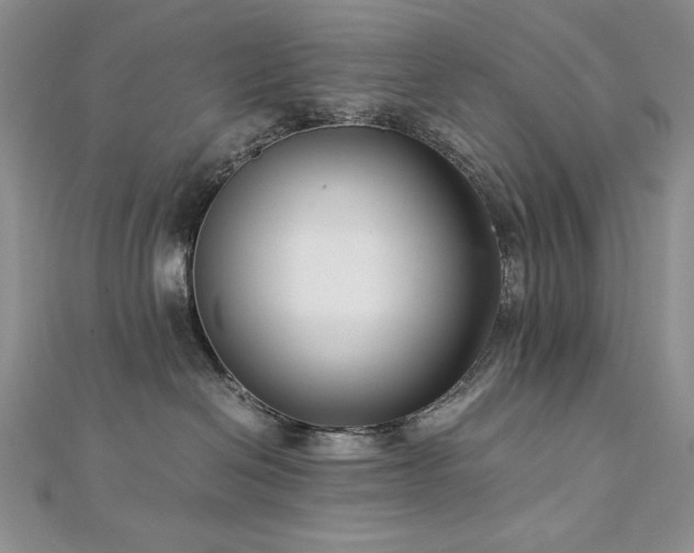 X0000113140286200909041215