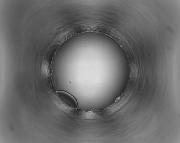 X0000113140287200909041215