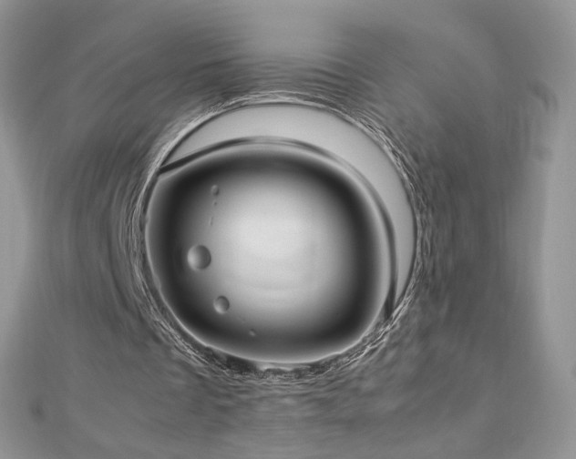 X0000113140289200909041214