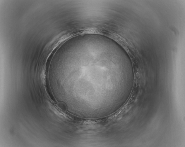 X0000113140290200909041214