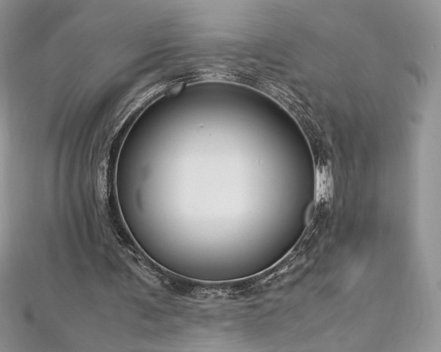 X0000113140291200909041214