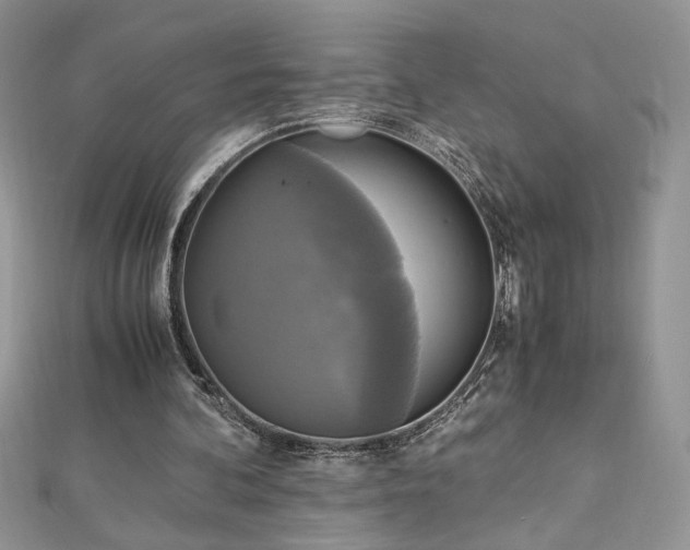 X0000113140292200909041214