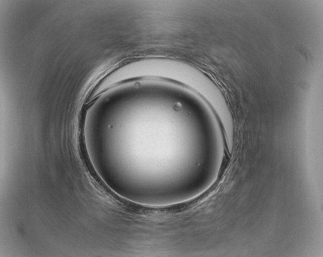 X0000113140293200909041214