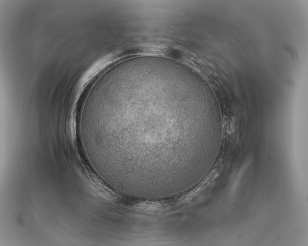 X0000113140294200909041214