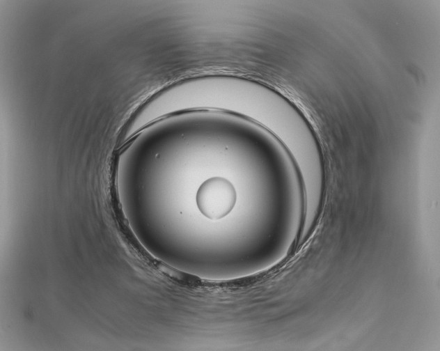 X0000113140297200909041214