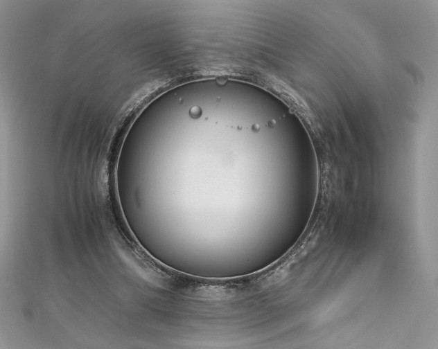 X0000113140298200909041214